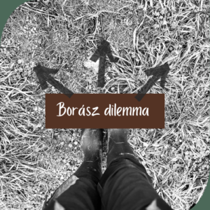 borász dilemma