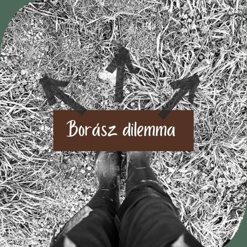 borász dilemma