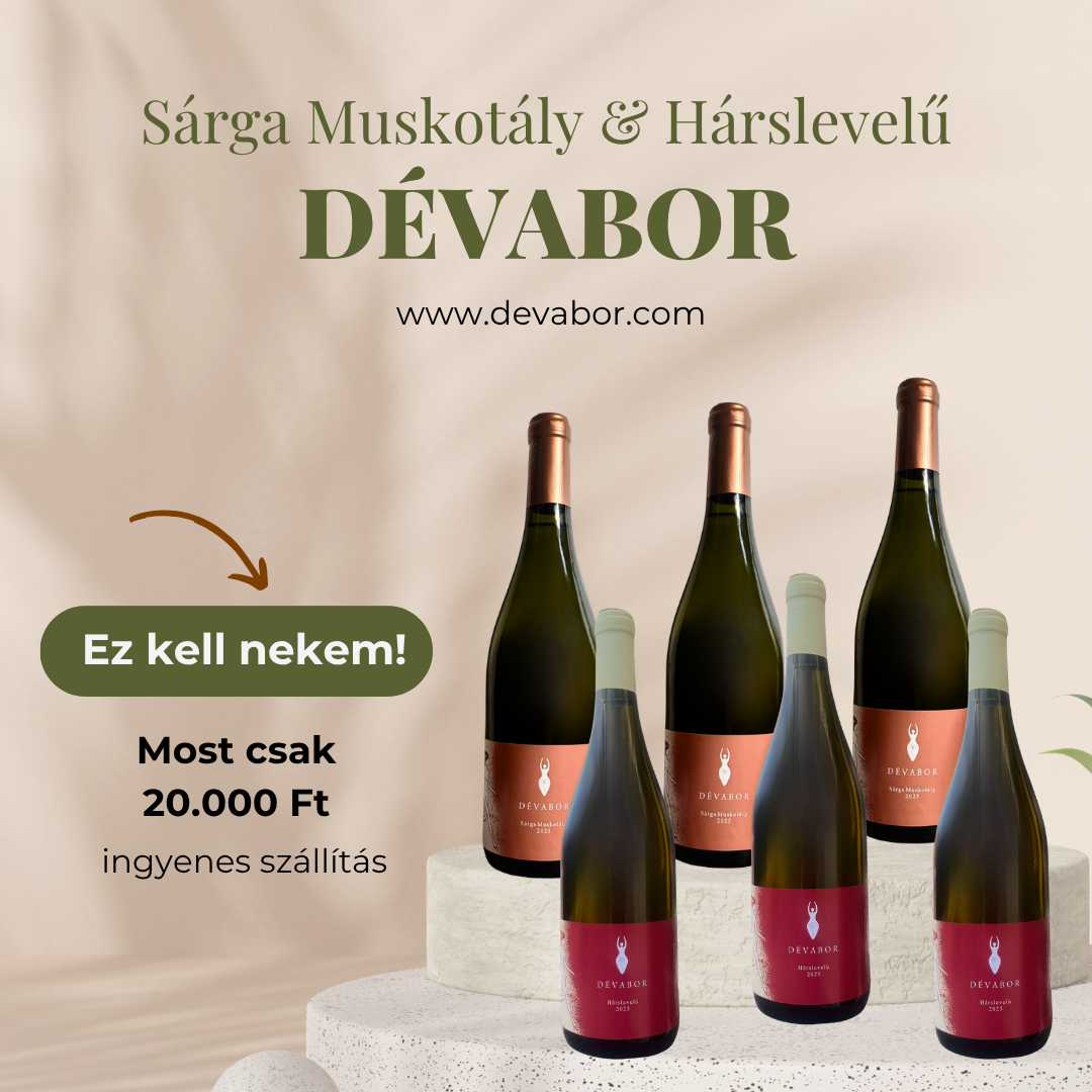 Jin & Jang – Dóri Titkos Kedvencei